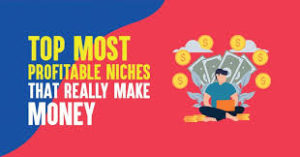 top niches that make money