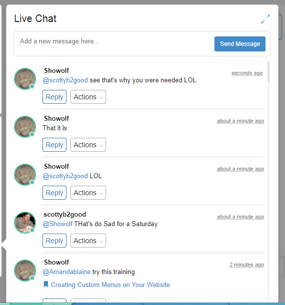 Screenshot Live Chat