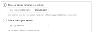 Choose Domain Name & Title for Website